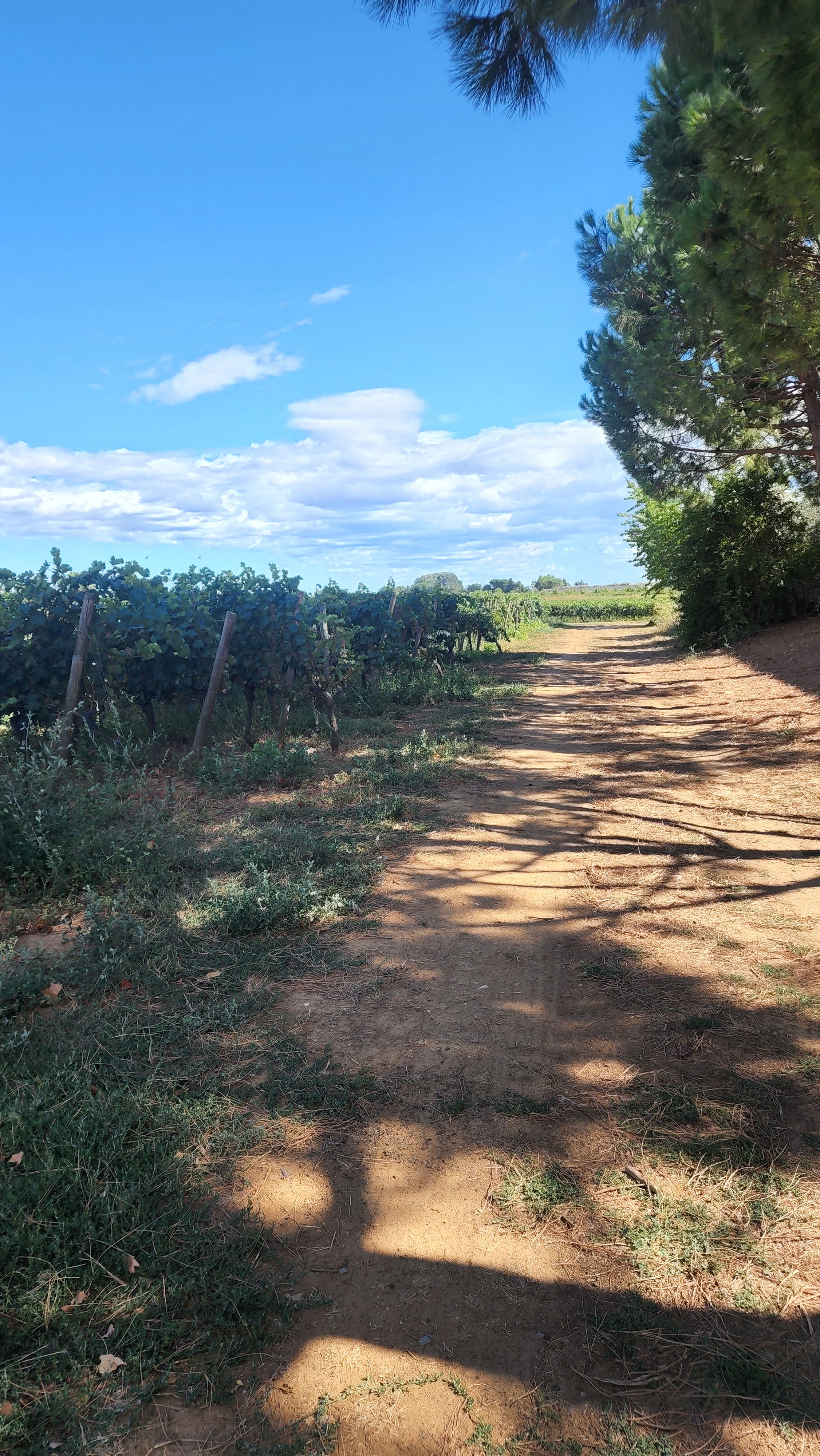 Photo n° 2 de l'avis de Imane.a fait le 31/08/2023 à 13:47