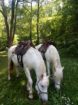 Manade de la Quère à Vétheuil
