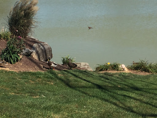 Golf Course «Waters Edge Mini Golf», reviews and photos, 230 N Ronks Rd, Bird in Hand, PA 17505, USA