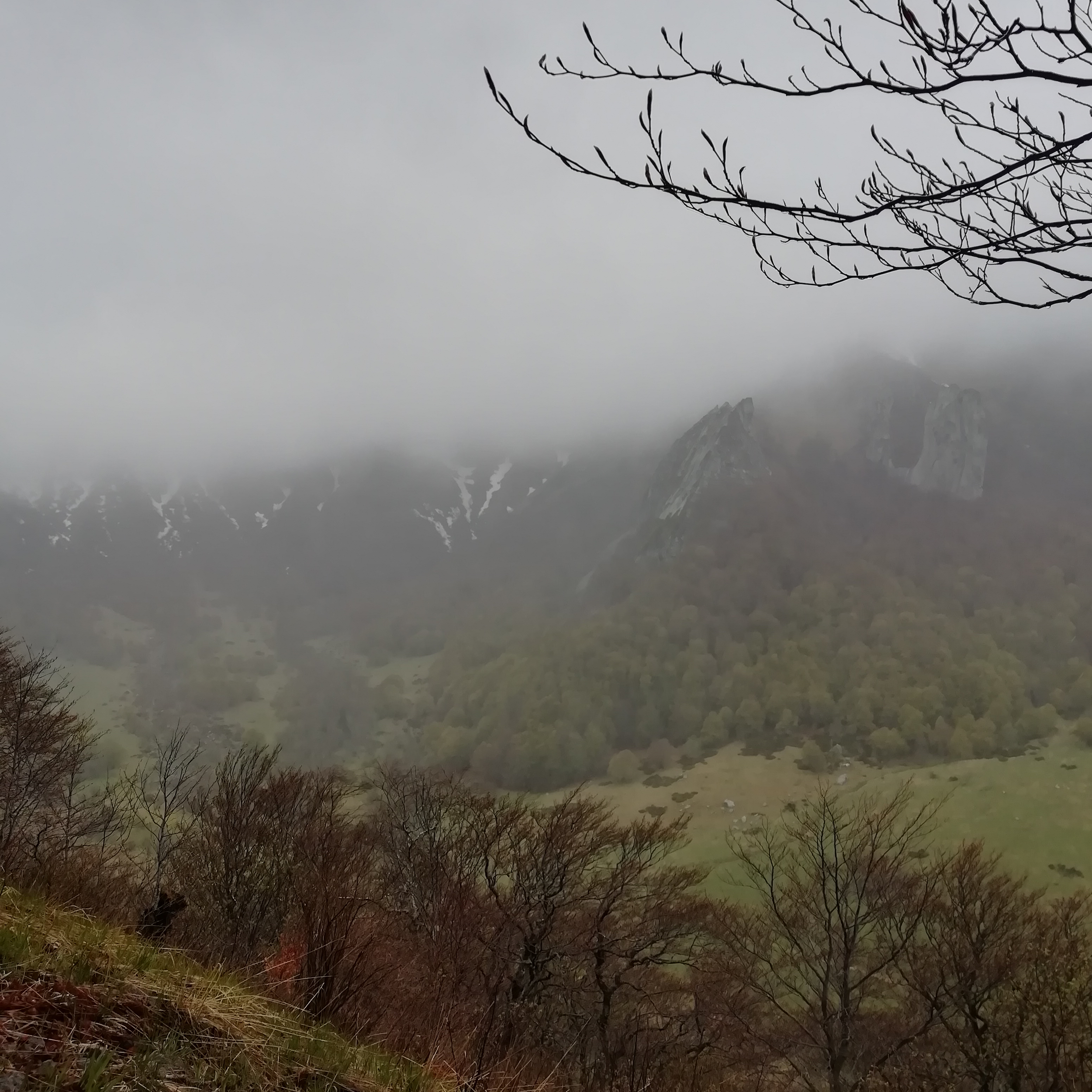 Photo n° 10 de l'avis de saux.o fait le 19/05/2019 à 14:55