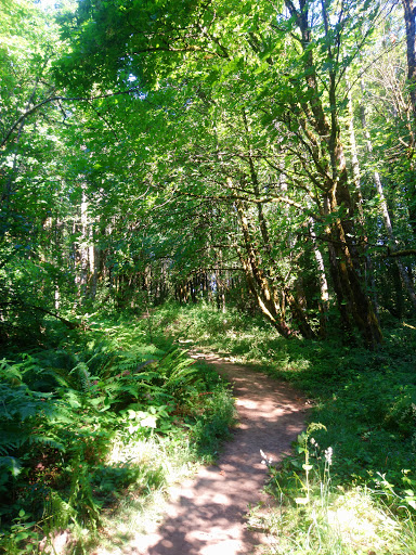 Firelane 2 Trailhead