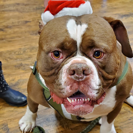 Pet Supply Store «EarthWise Pet Supply», reviews and photos, 7316 Yankee Rd, Liberty Township, OH 45044, USA