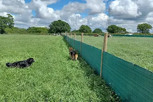 Off the Leash Dog Parks image