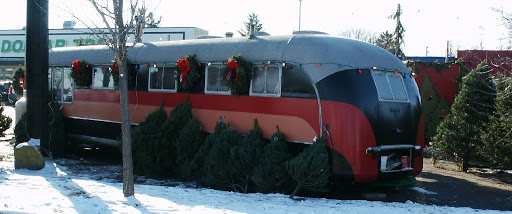 Flatsnoots Christmas Trees