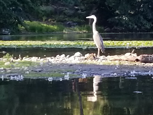 Country Club «Winchester Country Club», reviews and photos, 468 Mystic St, Winchester, MA 01890, USA