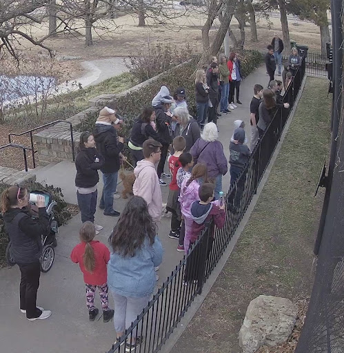 Zoo «Kansas Wildlife Exhibit», reviews and photos, 600-630 Nims N, Wichita, KS 67203, USA