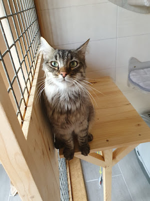 Pension Le Chat L'heureux à Marnaz