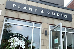 Plant & Curio