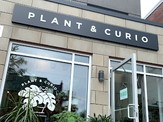 Plant & Curio