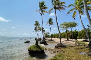 Praia do Cajúuna image