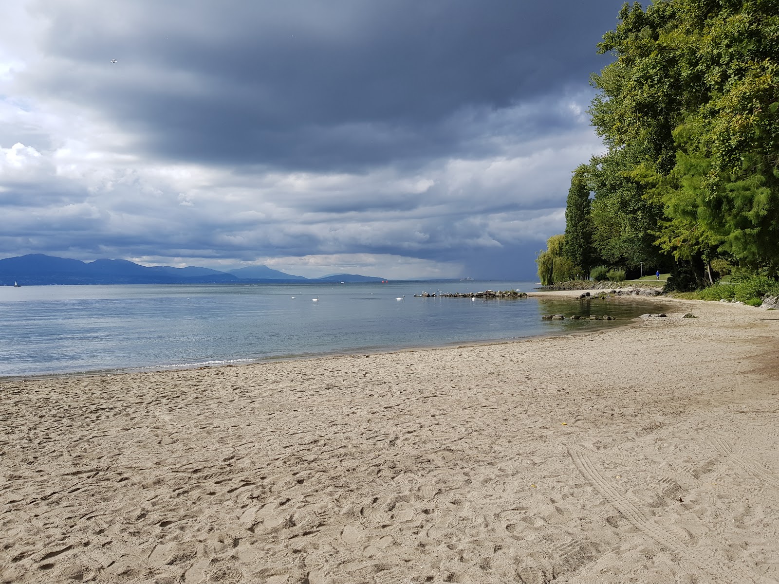 Plage de Vidy-Bourget photo #9