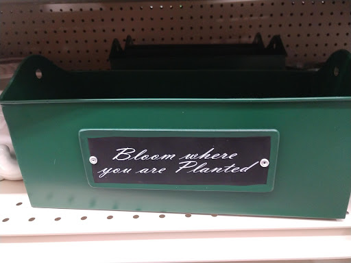 Discount Store «Big Lots», reviews and photos, 2445 Nashville Rd, Bowling Green, KY 42101, USA