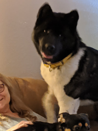 Animal Shelter «BrightSide Animal Center (formerly Humane Society of Redmond)», reviews and photos