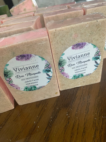 Vivianne Cosmética Productos para el Cuidado Personal portada