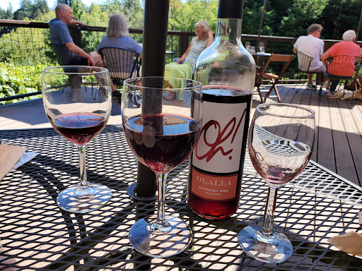 Vineyard «Olalla Vineyard & Winery», reviews and photos, 13176 Olalla Valley Rd SE, Olalla, WA 98359, USA
