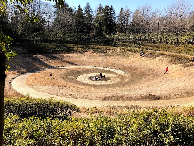 森 の 昭和 記念 公園 こども