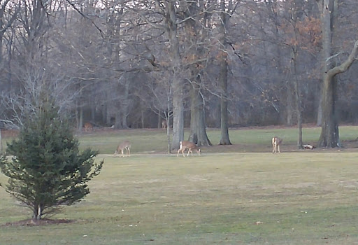 Golf Course «South Shore Golf Course», reviews and photos, 200 Huguenot Ave, Staten Island, NY 10312, USA