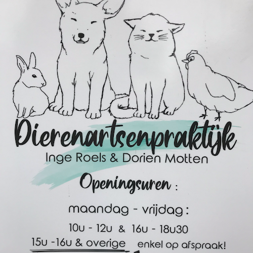 Dierenartsen Inge Roels & Dorien Motten - Dierenarts