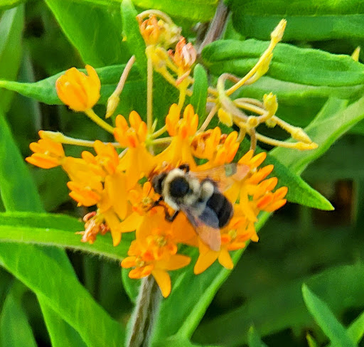 Nature Preserve «Sandy Point Bird Sanctuary», reviews and photos, Beach St, West Haven, CT 06516, USA