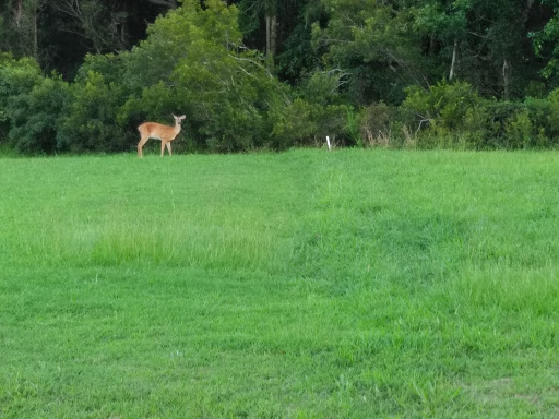 Golf Club «Kilmarlic Golf Club», reviews and photos, 215 West Side Ln, Powells Point, NC 27966, USA