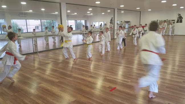 Karate Suceava Asociatia Club Sportiv Atletic Bucovina. - <nil>