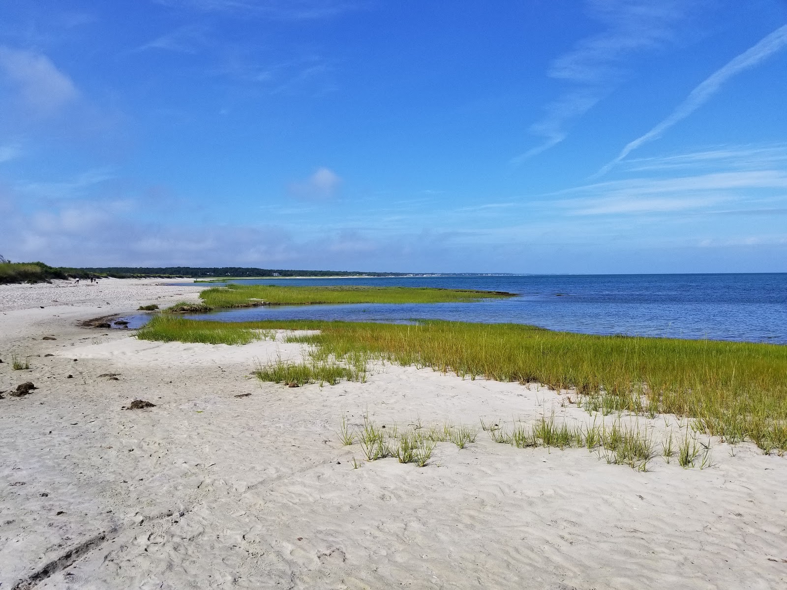 Skaket beach photo #7