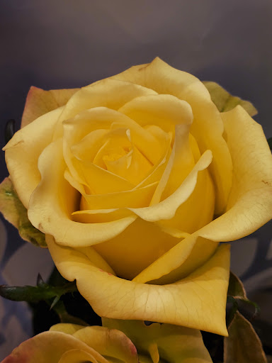 Grocery Store «Safeway», reviews and photos, 500 Cleveland Ave SE, Tumwater, WA 98501, USA