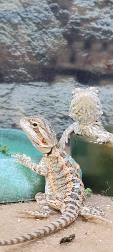 Pet Supply Store «Petco Animal Supplies», reviews and photos, 1520 N Parham Rd, Henrico, VA 23229, USA