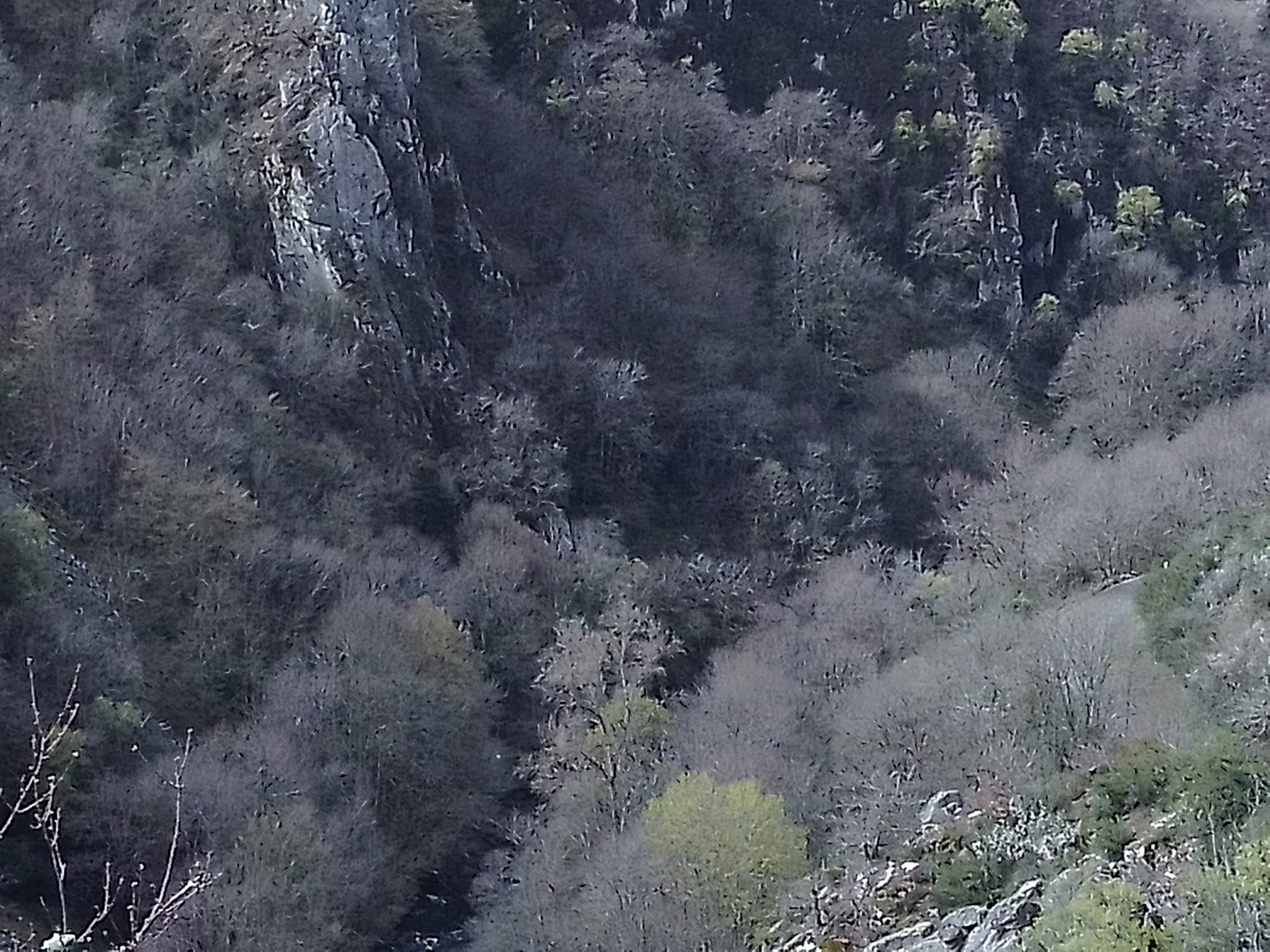Photo n° 9 de l'avis de Gérard.e fait le 10/04/2023 à 15:40