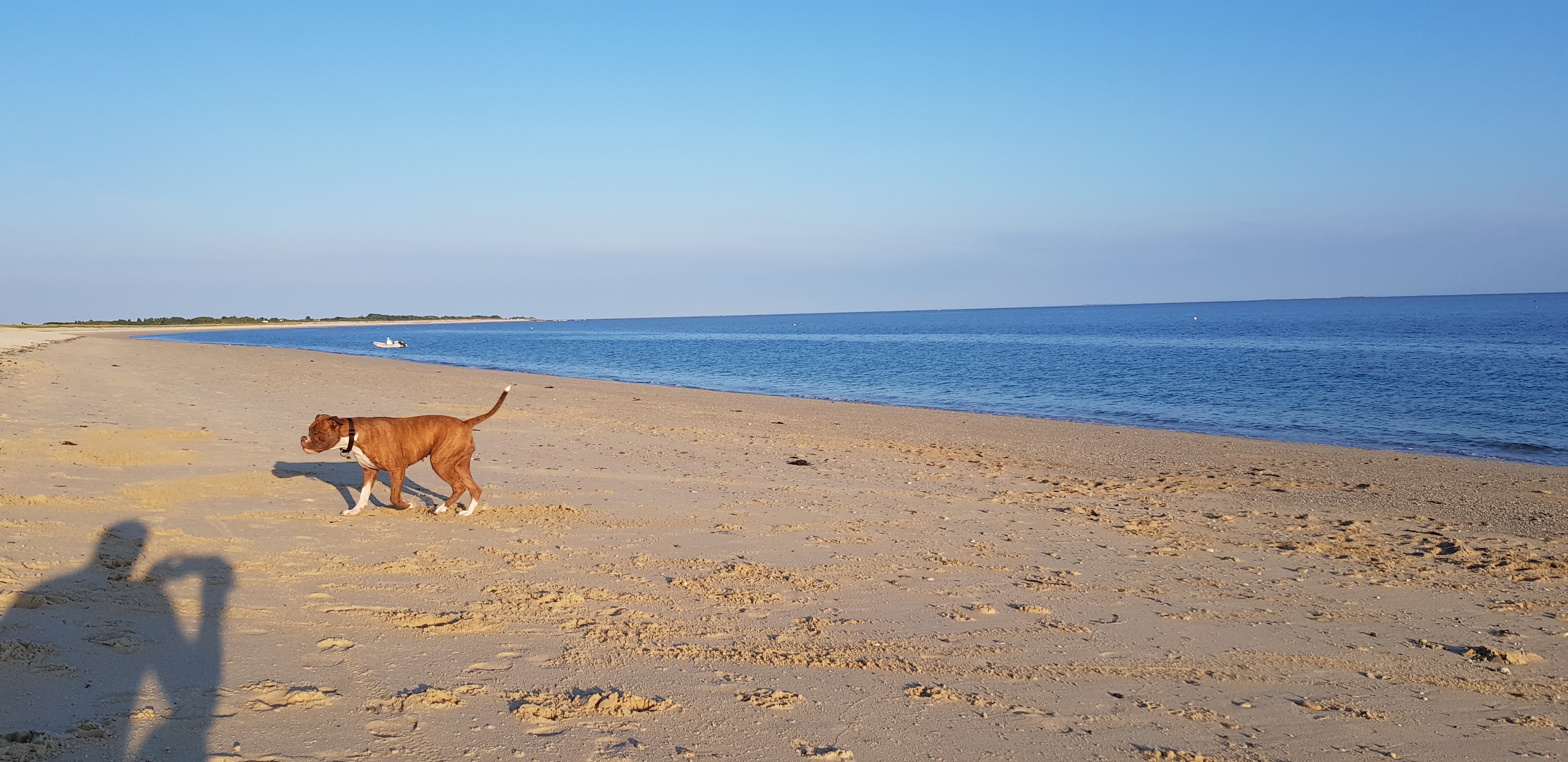 Photo n° 2 de l'avis de Christophe.u fait le 29/07/2018 à 12:50