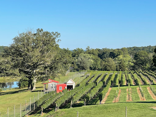 Winery «Wisdom Oak Winery», reviews and photos, 3613 Walnut Branch Ln, North Garden, VA 22959, USA