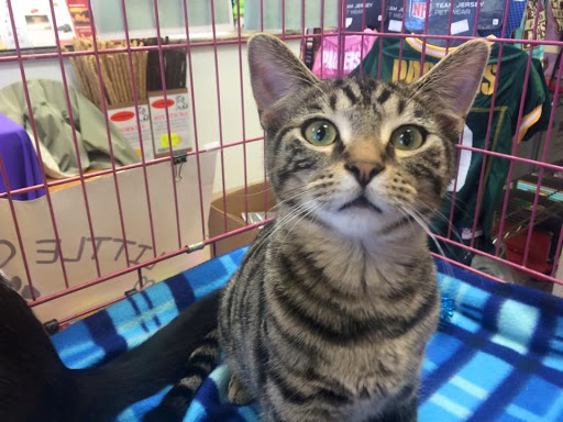 Pet Store «Pets of Portage», reviews and photos, 2219 W Wisconsin St, Portage, WI 53901, USA