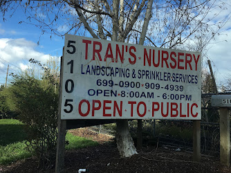 Tran's Nursery & Landscaping
