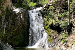 Burkhart Trail to Cooper Canyon Falls image