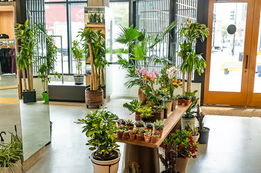 Wholesale Florist «Urban Jungle», reviews and photos, 2603 Sherman Ave NW, Washington, DC 20001, USA