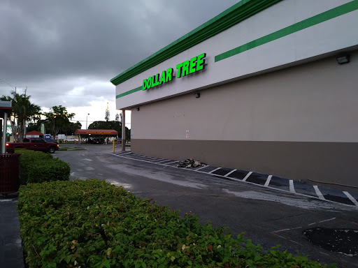 Dollar Store «Dollar Tree», reviews and photos, 4601 NW 199th St, Miami Gardens, FL 33055, USA