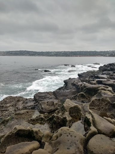 Shopping Mall «La Jolla Village Square», reviews and photos, 8657 Villa La Jolla Dr, La Jolla, CA 92037, USA