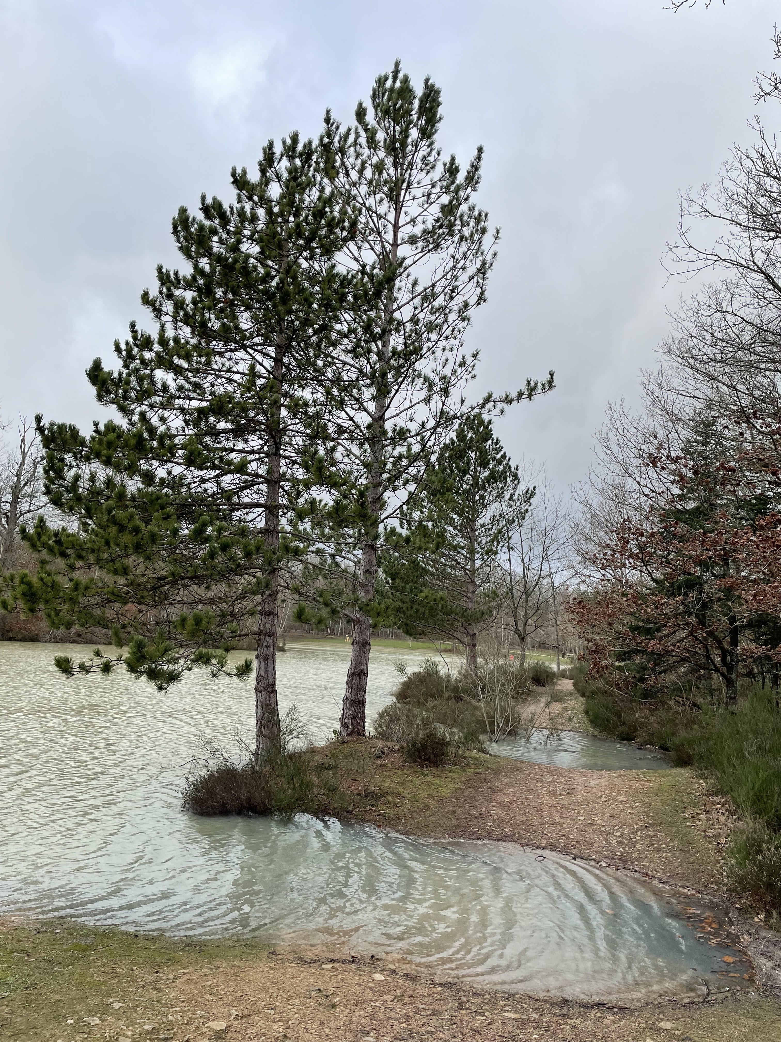 Photo n° 3 de l'avis de Sophie.o fait le 09/01/2024 à 14:46