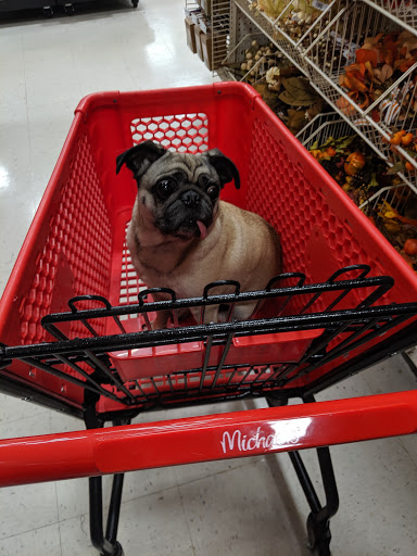 Craft Store «Michaels», reviews and photos, 1940 Jonesboro Rd, McDonough, GA 30253, USA