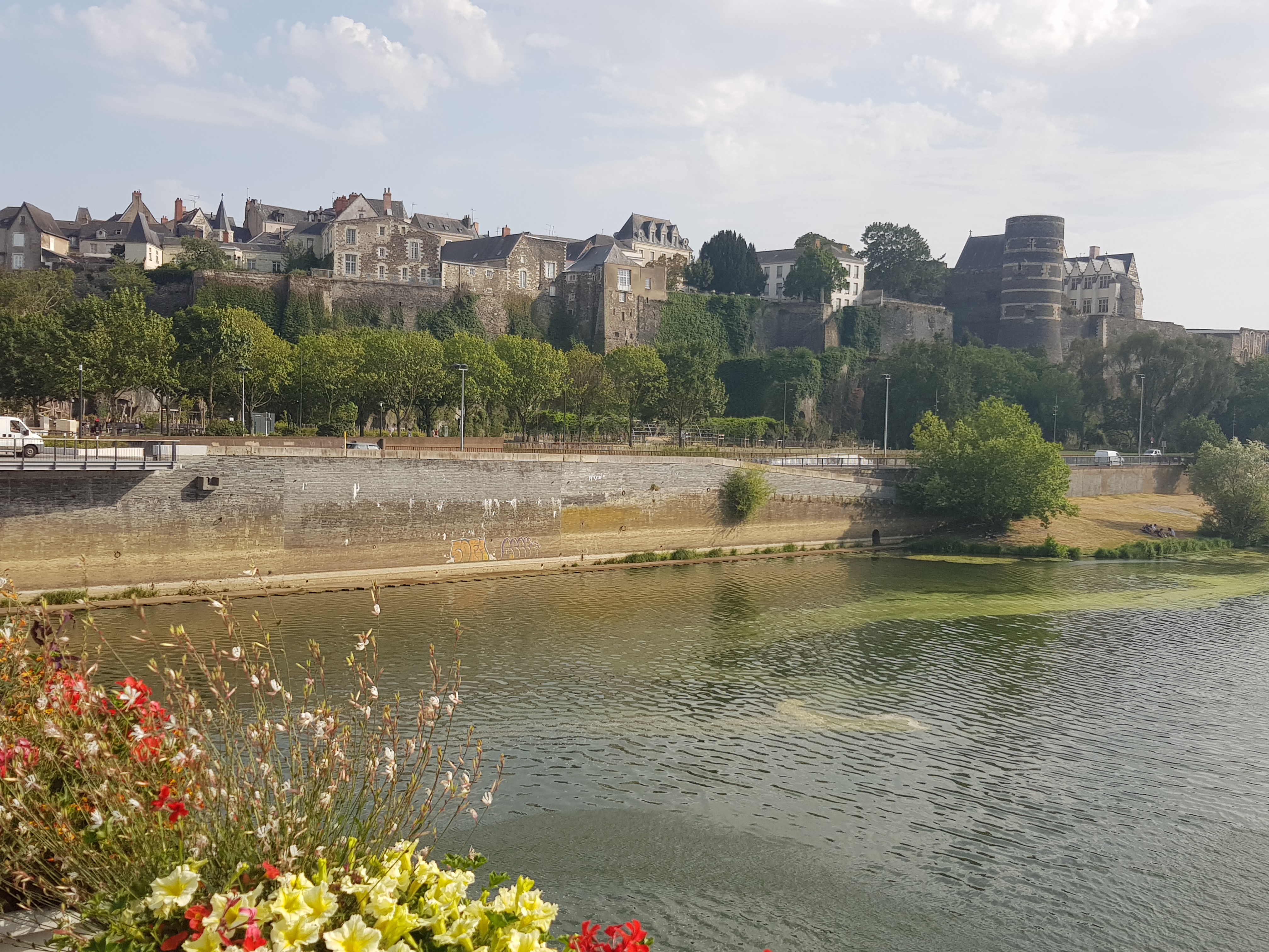 Photo n° 4 de l'avis de Shelah.a fait le 26/07/2019 à 12:55