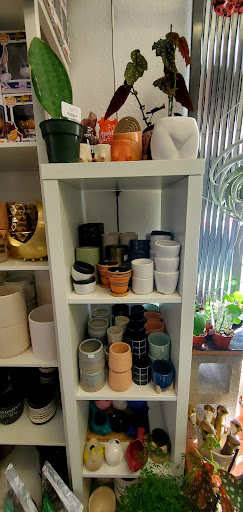 Toy Store «Zonkey», reviews and photos, 161 Jackson St, San Jose, CA 95112, USA