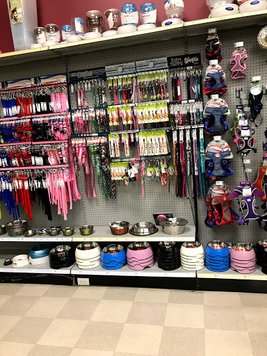 Pet Store «Petland Vineyard - San Antonio», reviews and photos, 1309 North Loop 1604 W #101, San Antonio, TX 78258, USA