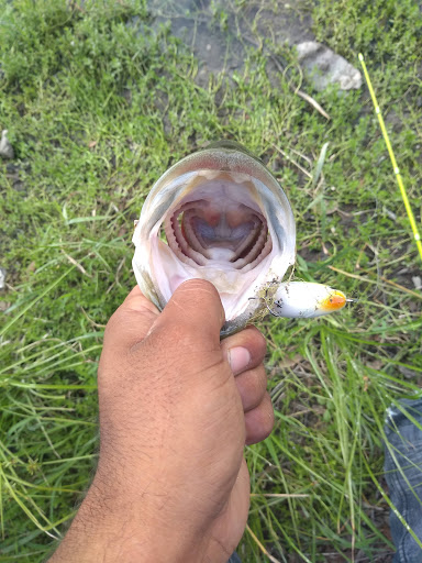 Golf Course «Cedar Creek Golf Course», reviews and photos, 8250 Vista Colina, San Antonio, TX 78255, USA