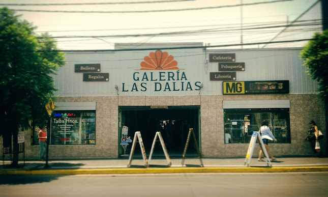 Opiniones de Galeria Las Dalias en Puente Alto - Centro comercial