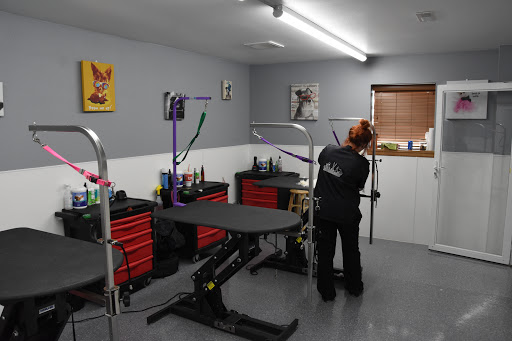 Pet Supply Store «Petsakes», reviews and photos, 295 9th St NE, Altoona, IA 50009, USA