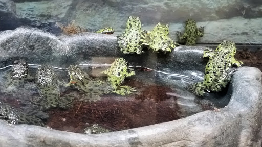 Pet Supply Store «Petco Animal Supplies», reviews and photos, 5631 Grove Blvd, Hoover, AL 35226, USA