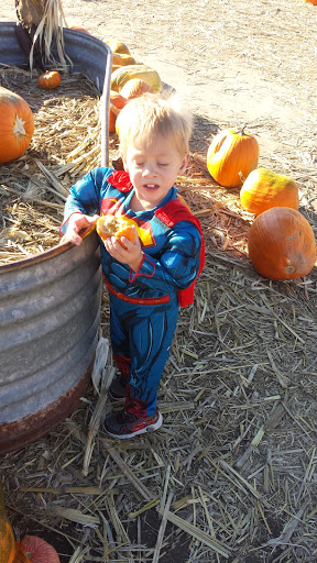 Amusement Center «Jump Man Jump», reviews and photos, 335 Edison Way, Reno, NV 89502, USA