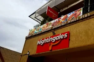 Nightingales image