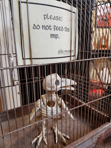 Used Book Store «York Emporium», reviews and photos, 343 W Market St, York, PA 17401, USA