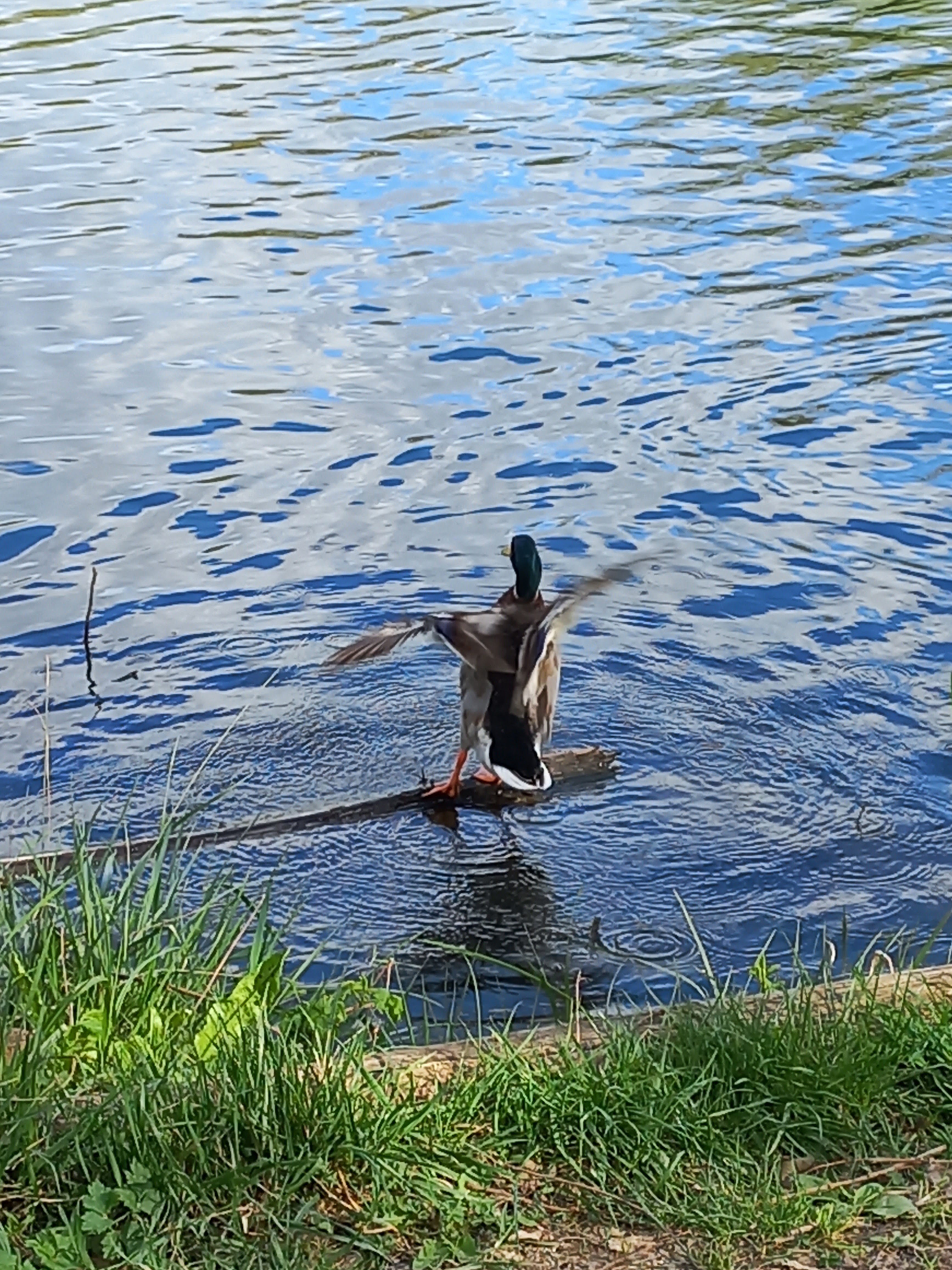 Photo n° 6 de l'avis de Lucien.e fait le 10/06/2019 à 14:23